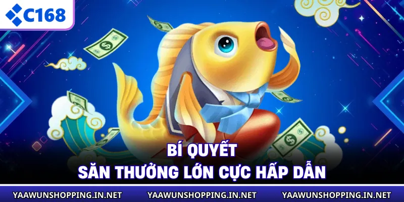 Bí quyết săn thưởng lớn cực hấp dẫn