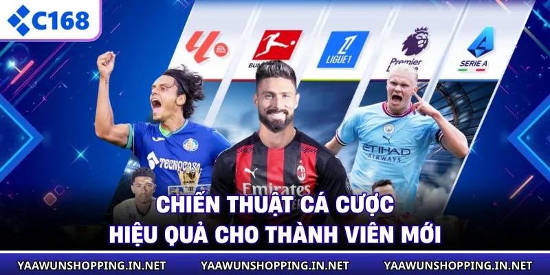 Chiến thuật cá cược hiệu quả cho thành viên mới