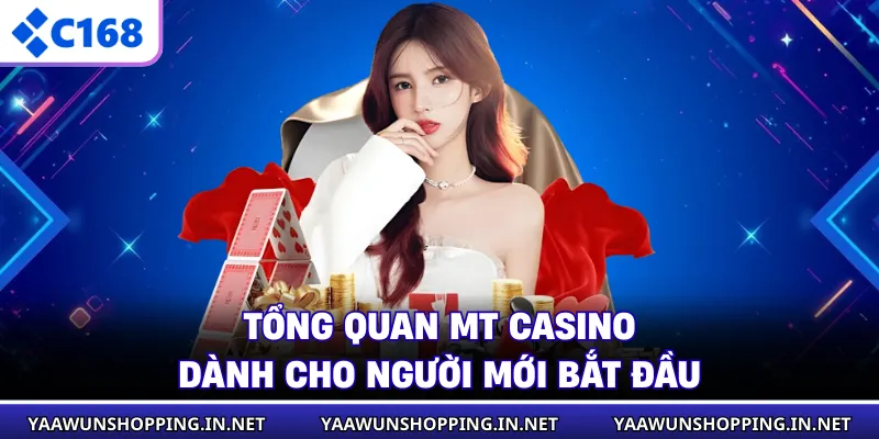 Tổng quan MT casino dành cho người mới bắt đầu